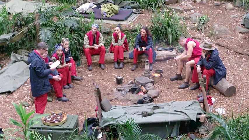 Esel, Schlange und Co.: Im Dschungelcamp wird wild gefeuert