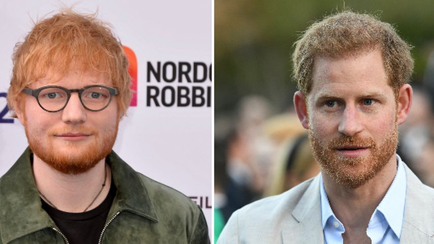Insta-Clip verwirrt: Warum klingelt Ed Sheeran bei Harry?