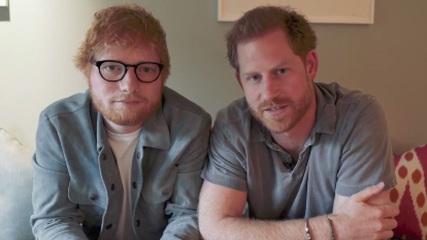 "Wir sind rothaarig": Ed Sheeran & Harry machen Kampagne