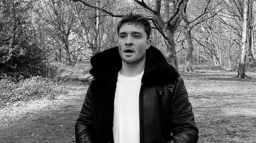 Ed Westwick, Schauspieler