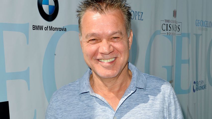 Eddie Van Halen, Rockmusiker