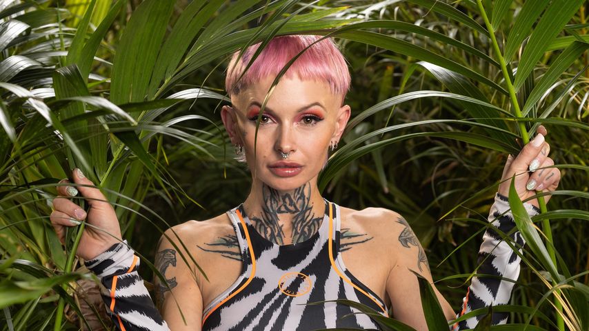 Edith Stehfest, Kandidatin der 18. Dschungelcamp-Staffel