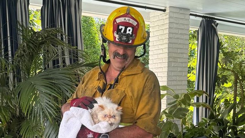 Ein Feuerwehrmann mit Cara Delevingnes Katze, 2024