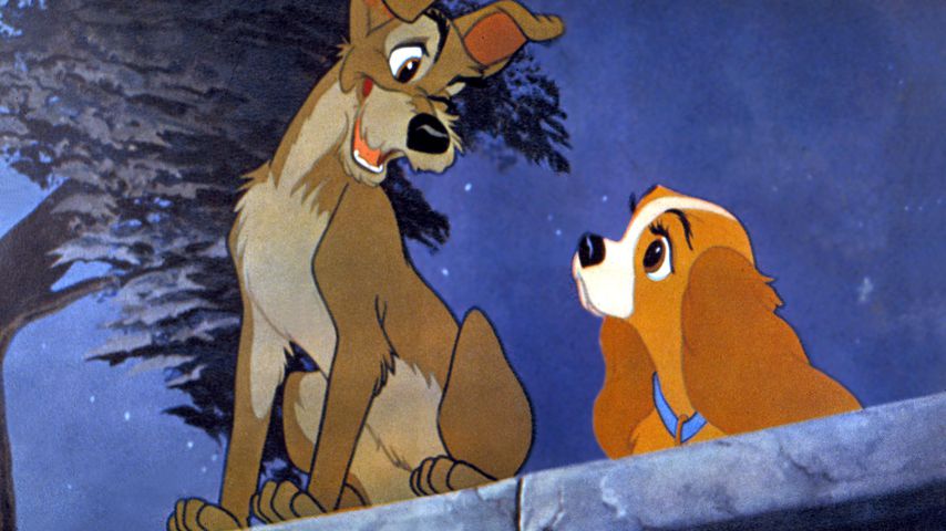 Eine Szene aus "Susi und Strolch"