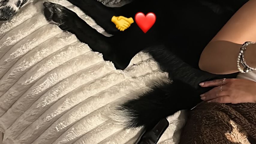 Eine unbekannte Frau mit einem Hund (gepostet von Can Kaplan)