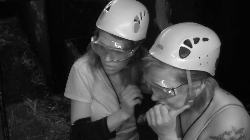 Elena Miras und Daniela Büchner, Dschungelcamp Tag 6