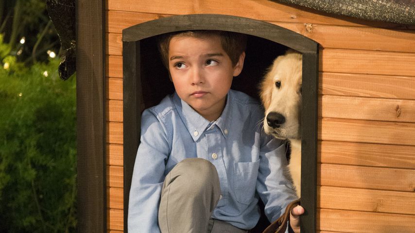 Elias Harger und Cosmo bei "Fuller House"