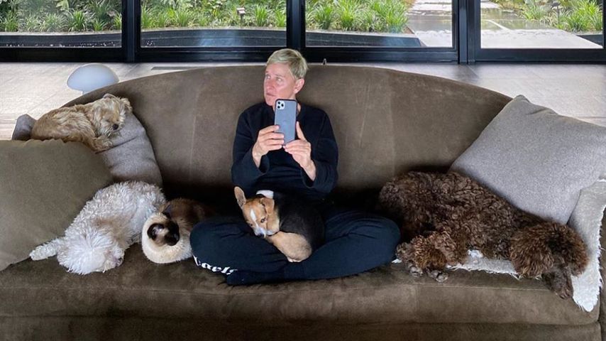 Ellen DeGeneres im April 2020
