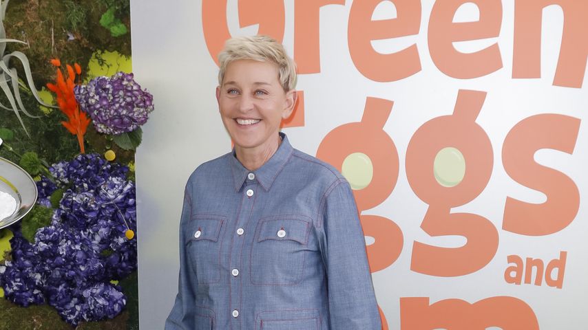 Ellen DeGeneres, Komikerin
