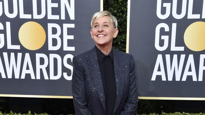 Ellen DeGeneres, Komikerin