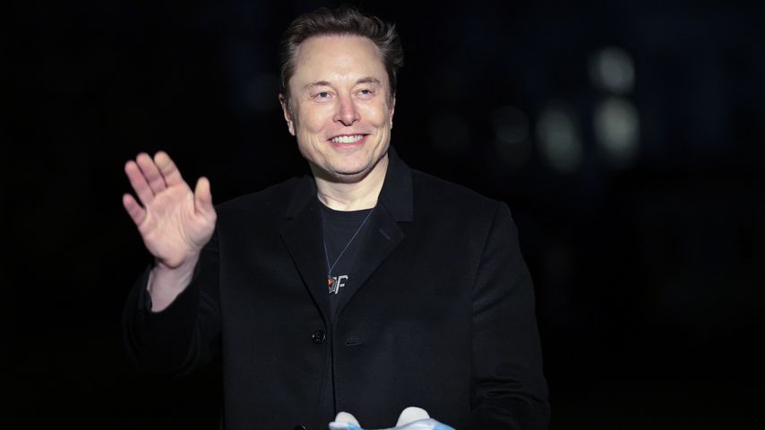 Elon Musk, Februar 2025