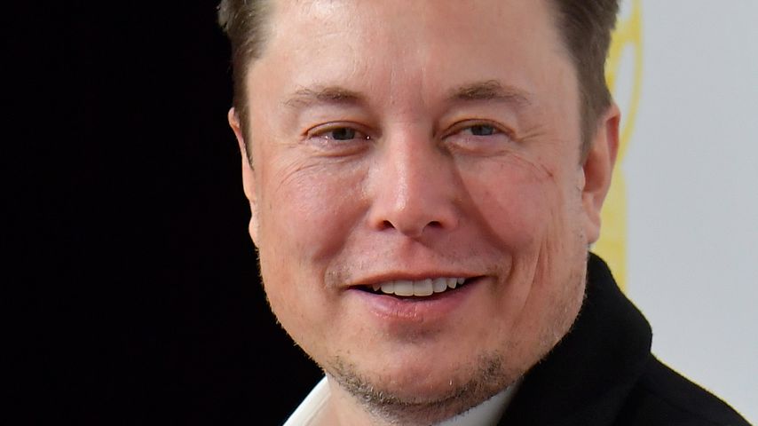 Elon Musk, November 2019