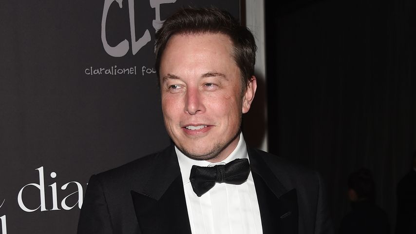 Elon Musk, Unternehmer