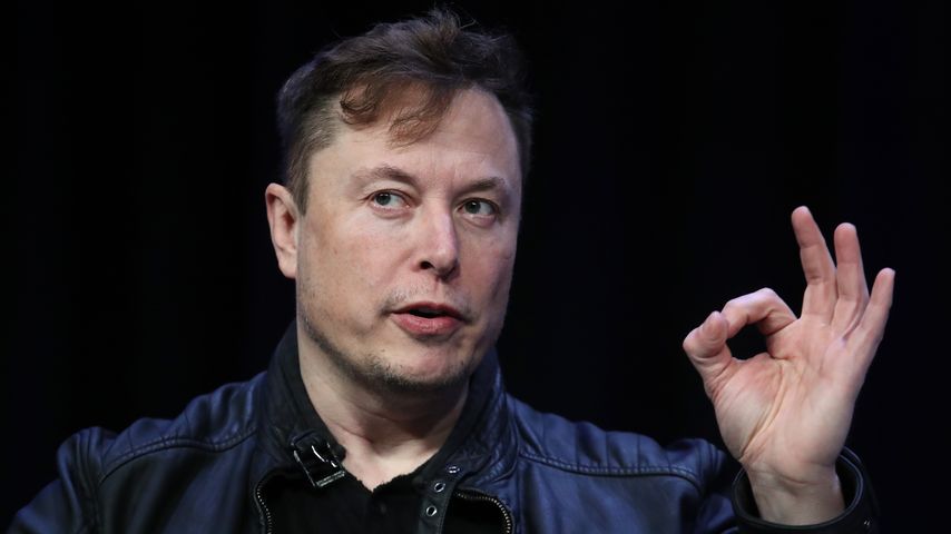 Elon Musk, Unternehmer