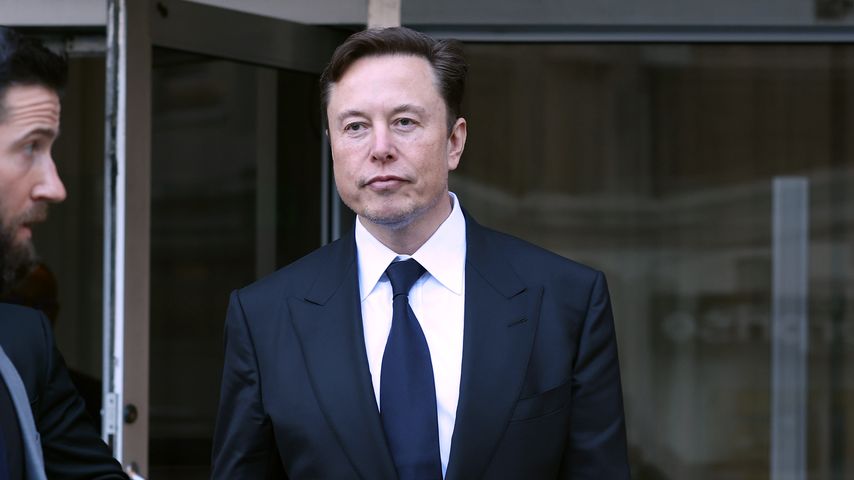 Elon Musk, Unternehmer
