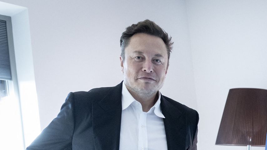 Elon Musk, Unternehmer