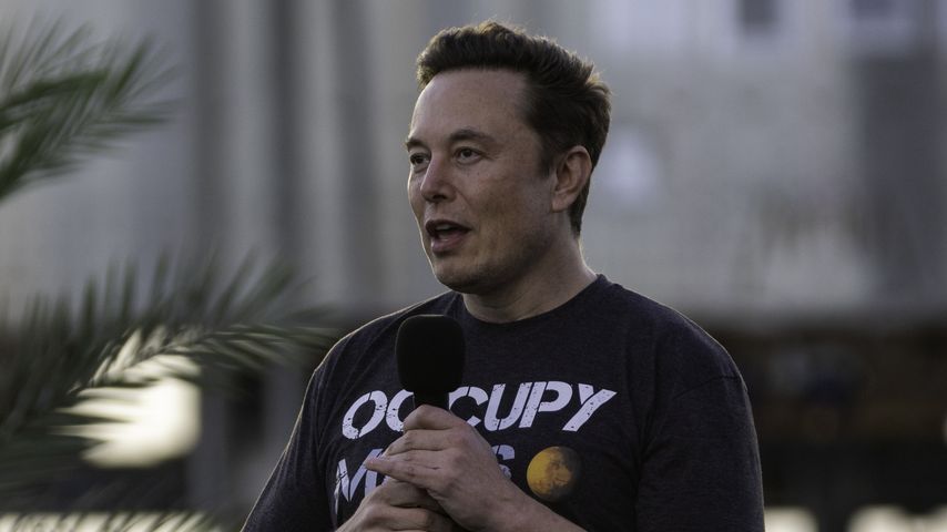 Elon Musk, Twitter-Chef