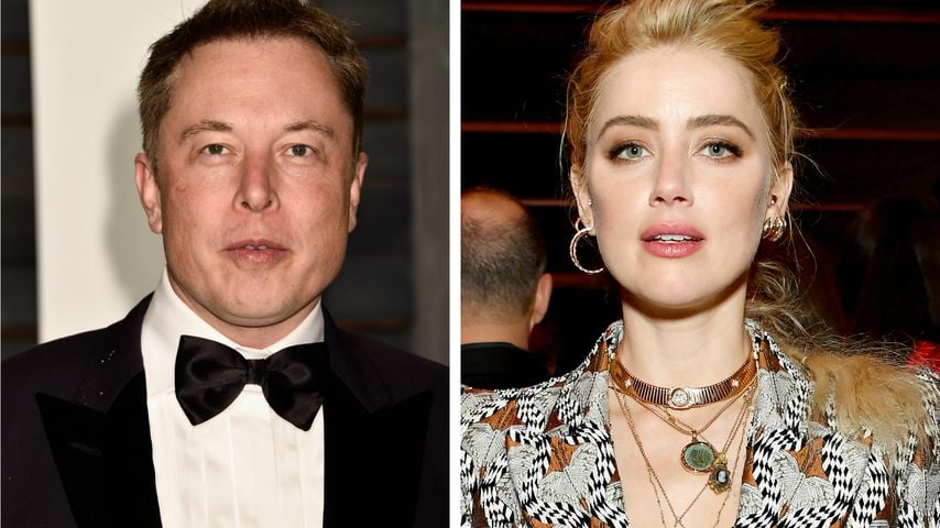 "Völlig falsch": Elon Musk bestreitet Affäre mit Amber Heard
