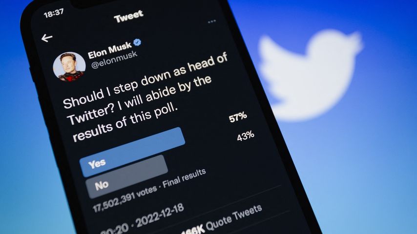 Elon Musks Twitter-Abstimmung
