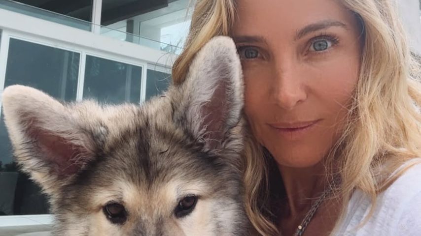Elsa Pataky und ihr Hund im Dezember 2024