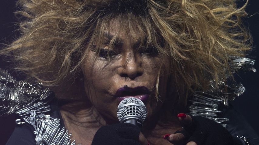 Elza Soares, Sängerin