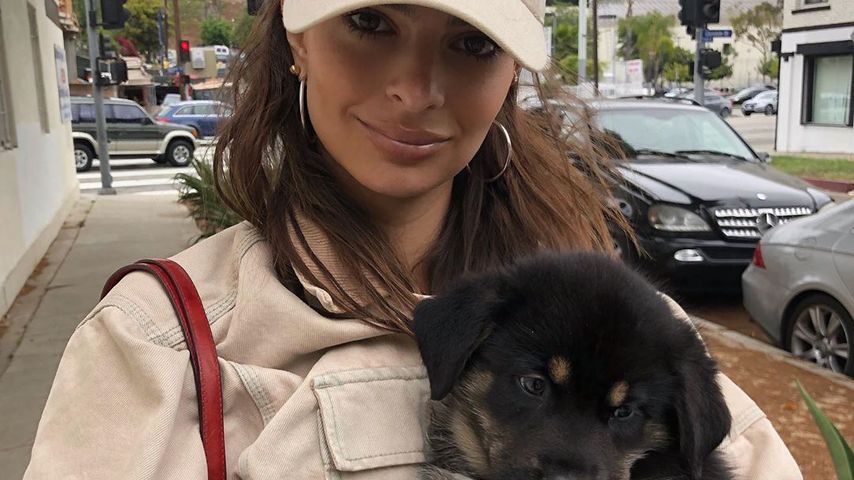 Emily Ratajkowski und ihr Hund Colombo