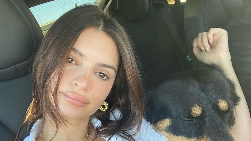 Emily Ratajkowski, November 2020