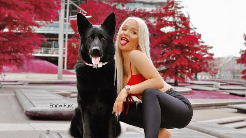Schock! Airline verliert Emmy Russ' Schäferhund am Flughafen