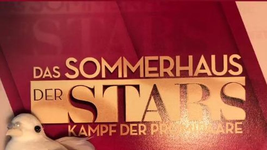 Eric Sindermanns Friedenstaube