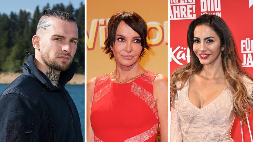 Wilde Dschungelgerüchte: Was taugt der mögliche Cast 2022?