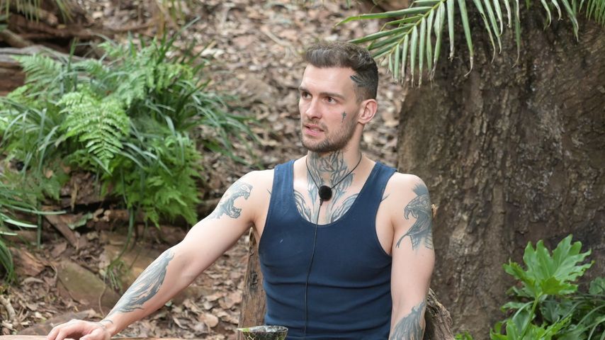 Eric Stehfest in der finalen Dschungelprüfung