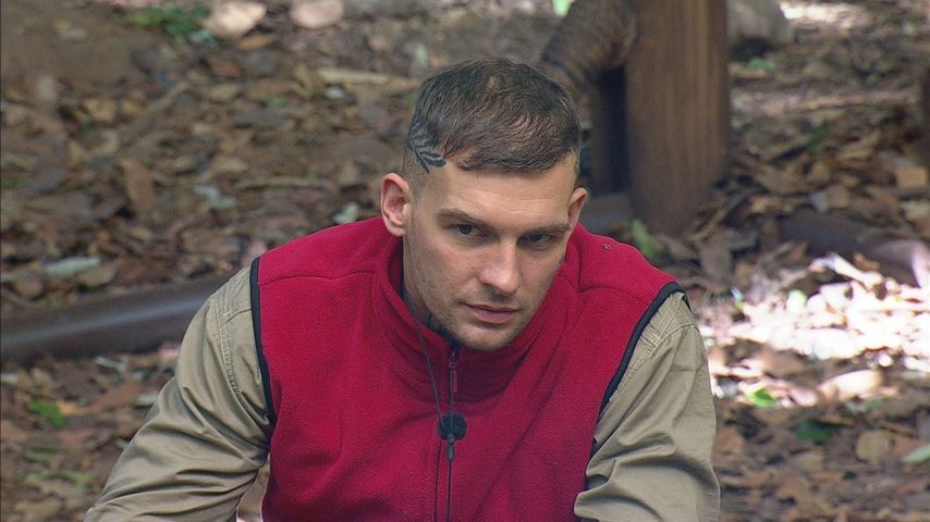Eric Stehfest, Dschungelcamp-Kandidat 2022
