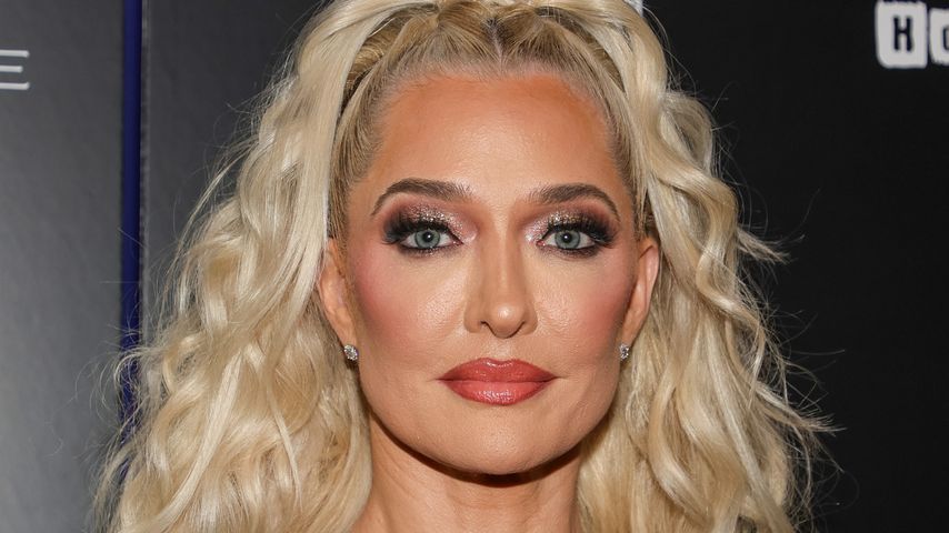 Erika Jayne, Reality-TV-Star
