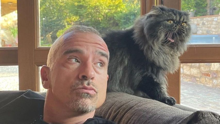 Eros Ramazzotti, Musiker