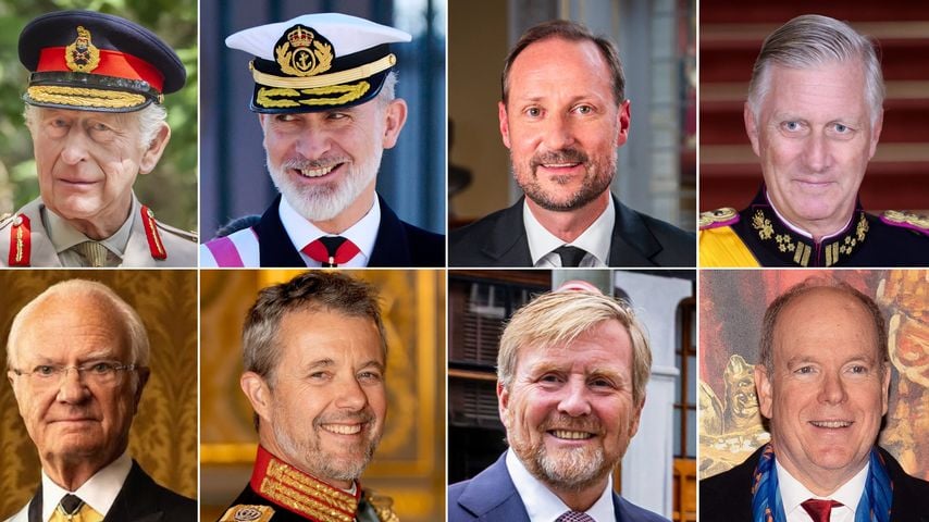 Collage: König Charles, König Felipe, König Haakon, König Philippe, König Carl Gustaf, König Frederik, König Willem-Alexander und Fürst Albert