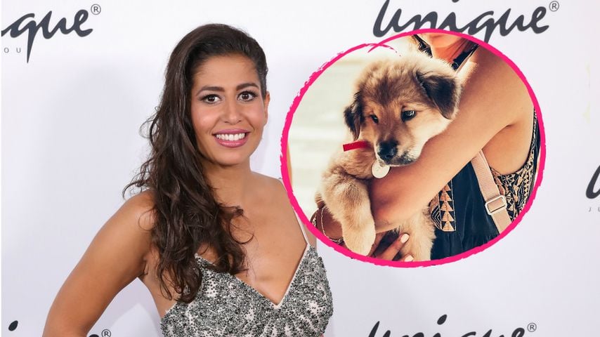 Neuerdings Hundemami: Eva Benetatou erklärt die Adoption