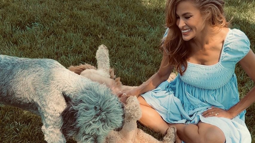 Hundezuwachs: Eva Mendes und Ryan Gosling adoptieren Charlie