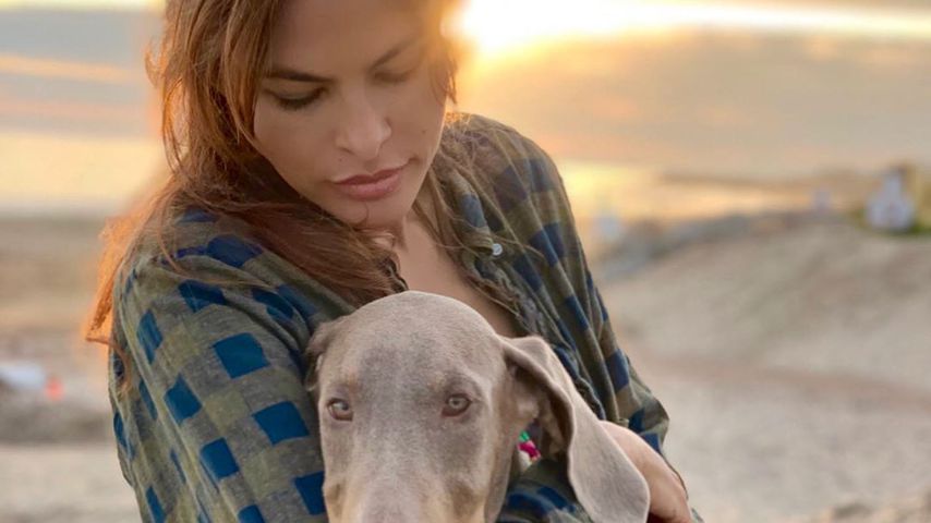 Verschmust: Ryan Gosling & Eva Mendes zeigen neuen Hund
