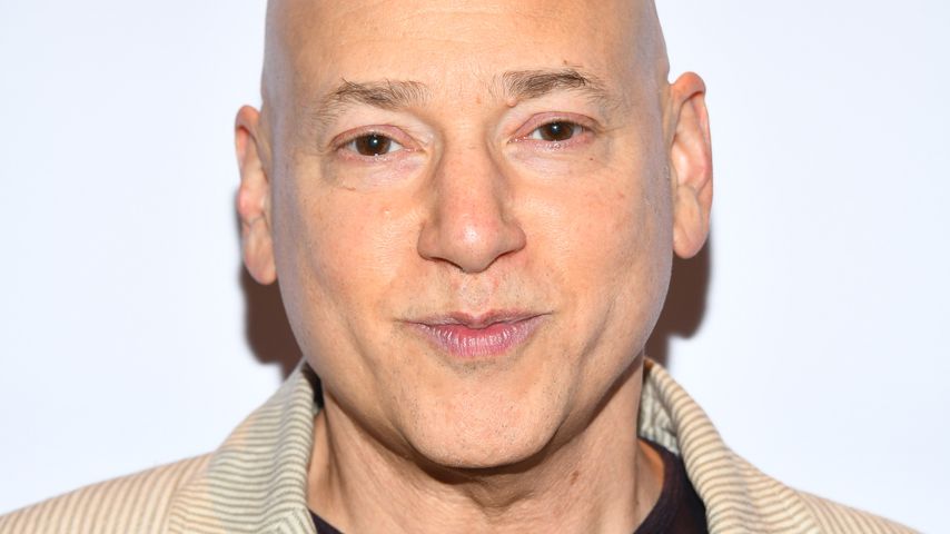 Evan Handler, Schauspieler