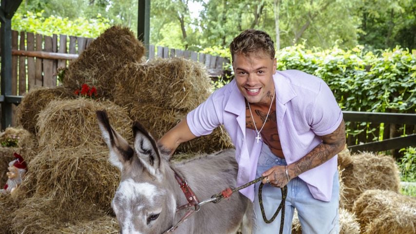 Fabian Hesdahl, "Der Promihof"-Kandidat 2026
