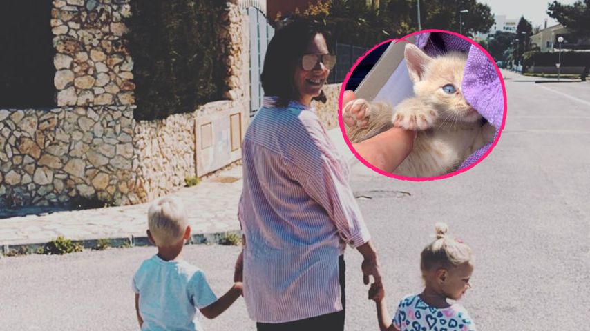 Vor Mülltonne gefunden: Büchners adoptieren ein Katzenbaby