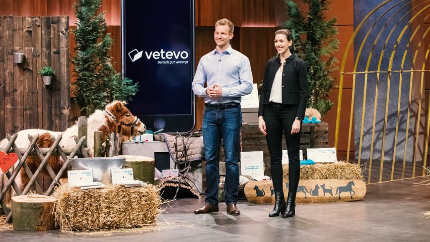 Auch ohne DHDL-Deal: So gut entwickelte sich Tier-App Vetevo
