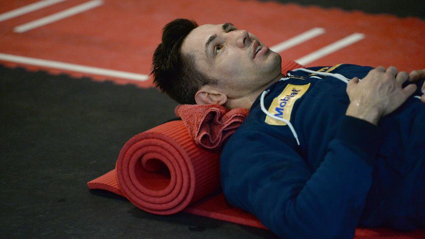 Felix Sturm, Box-Profi
