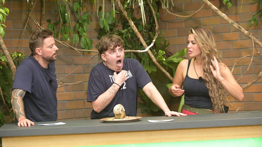 Felix von Jascheroff, Twenty4tim und Kim Virginia im Dschungelcamp