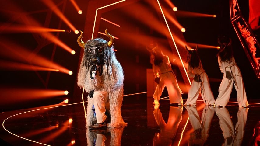 "Fernando El Toro" gewinnt bei "The Masked Singer", 2026