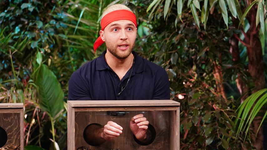 Filip Pavlovic bei "Ich bin ein Star – Die große Dschungelshow"