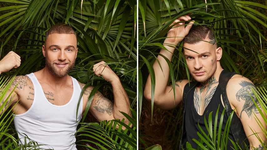 Neues Drama im Dschungelcamp: Filip greift Eric verbal an!