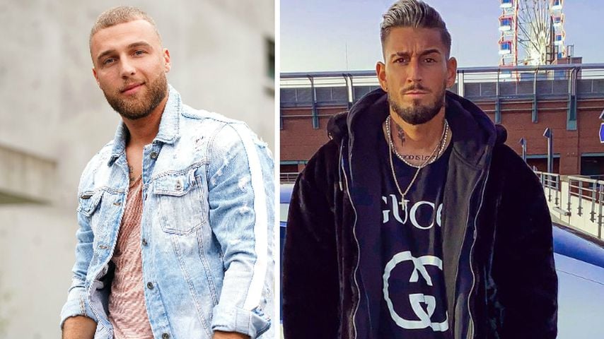 Großer Vorsprung: Diese Stars sind Dschungelshow-Favoriten!