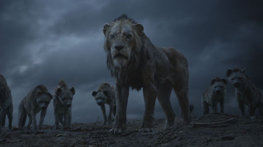 Scar und die Hyänen im Disney-Remake "Der König der Löwen"