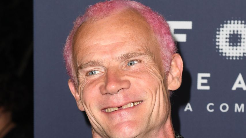 Flea im Oktober 2018